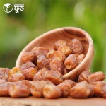 সুক্কারি খেজুর (Sukkari Dates) - 1KG